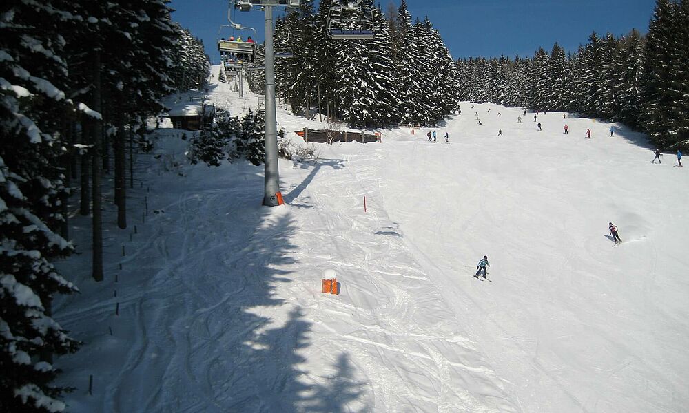 Skischule Hauereck Panorama